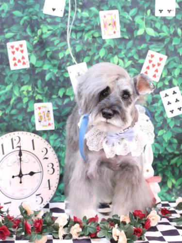 20250408ティノくん